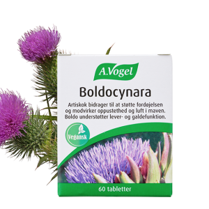 A. Vogel Boldocynara Tabletter 60 tabl.